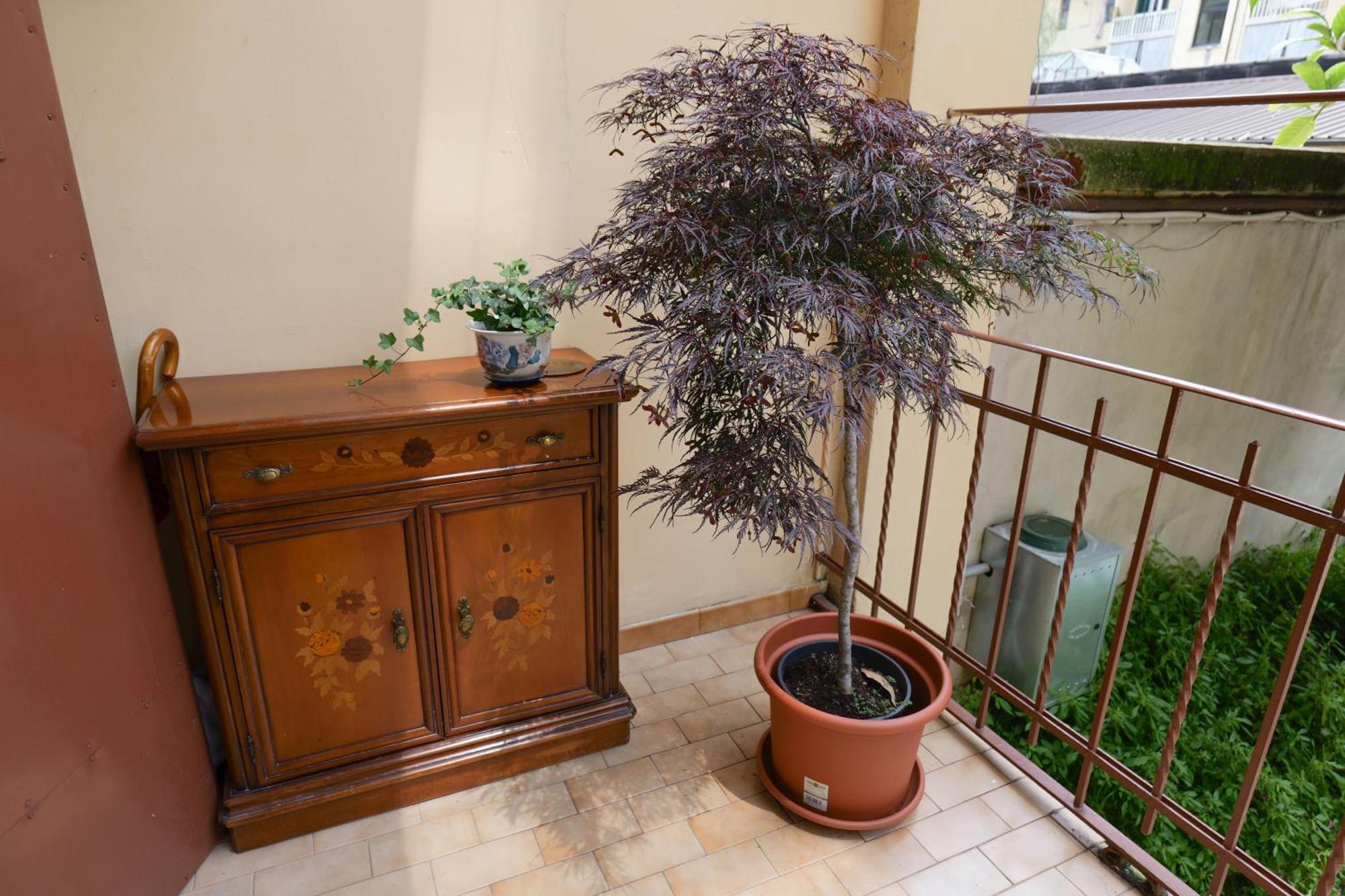 Coli'S House Bed & Breakfast Torino Exterior foto